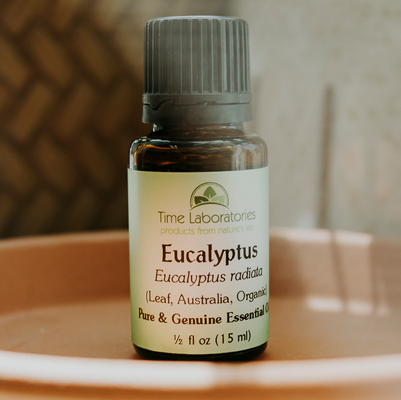 Eucalyptus radiata Essential Oil