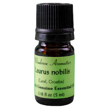 Laurus nobilis Essential Oil